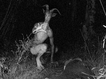 21 Terrifyingly Real Photos Caught on Trail Cameras